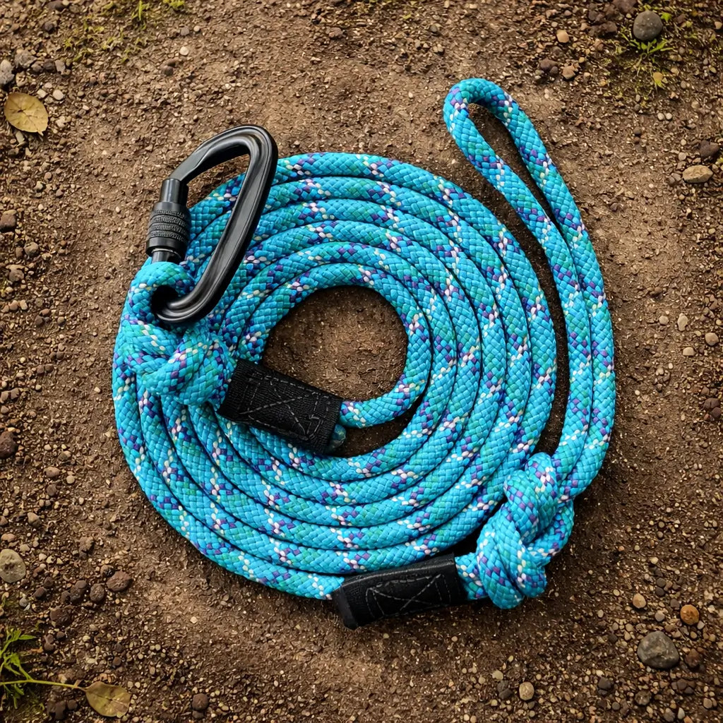 strong rope leash dog walking lead