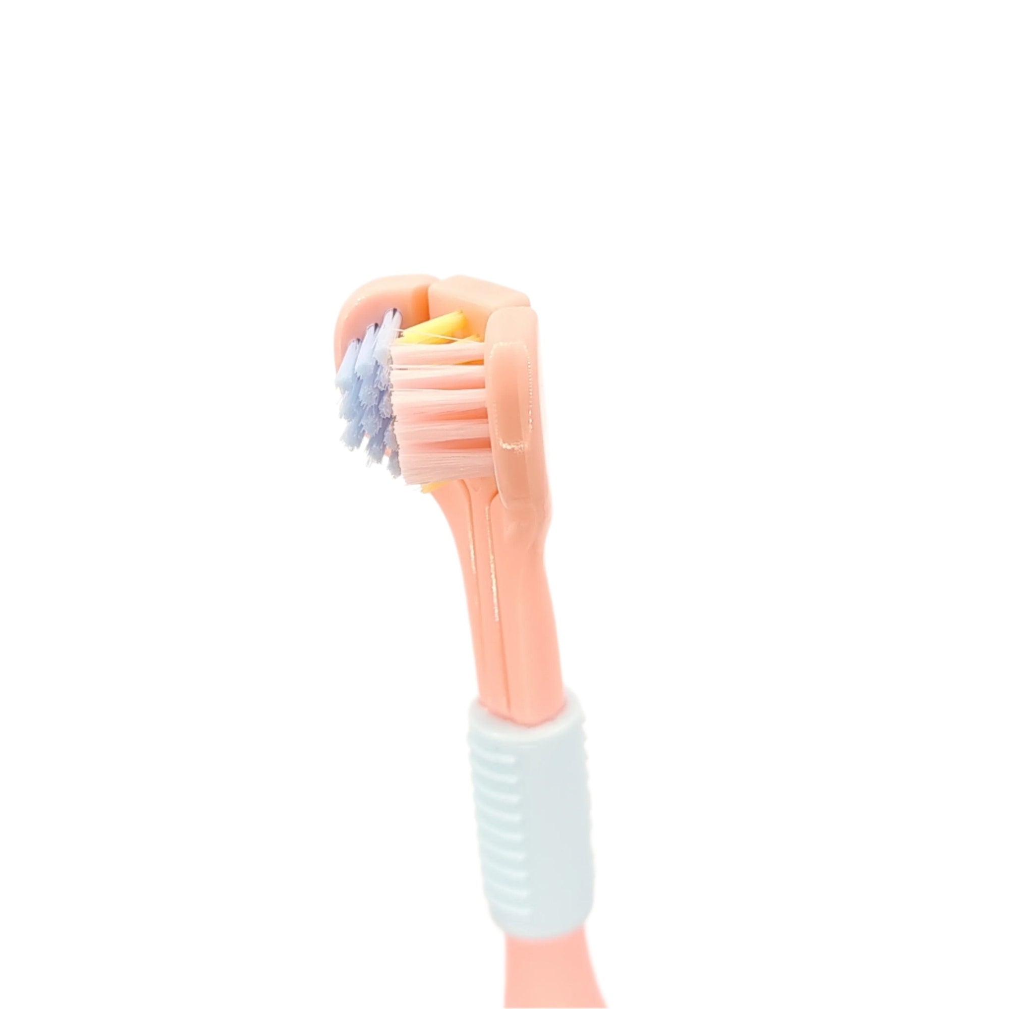 3 sides bristle pet tooth brush closeup