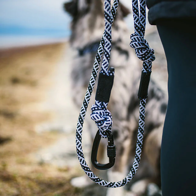 durable rope dog leash black white design