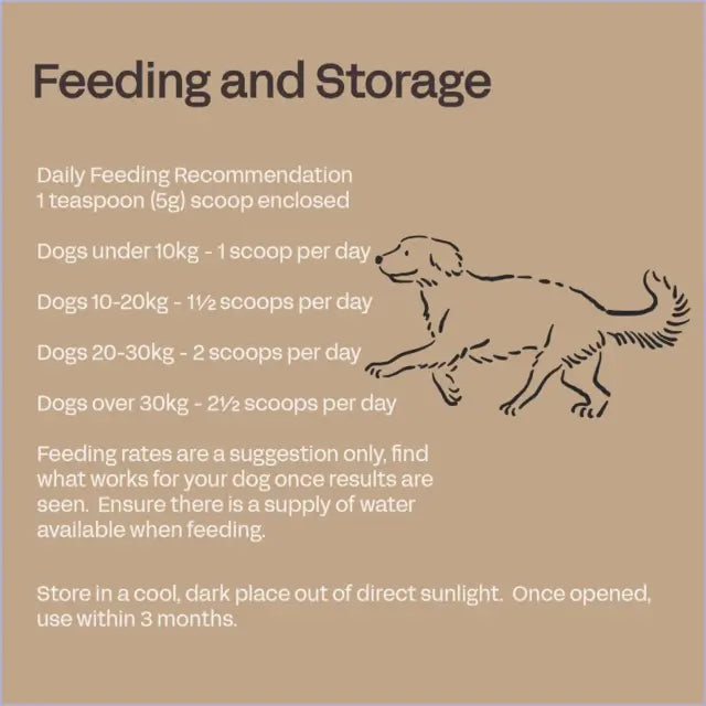 dog probiotic powder daily digestive support dogs