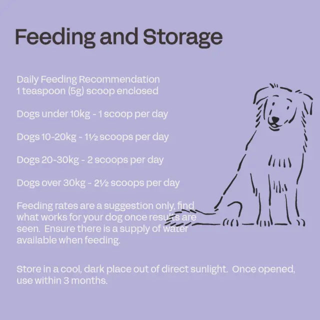 daily senior canine powder mobility support