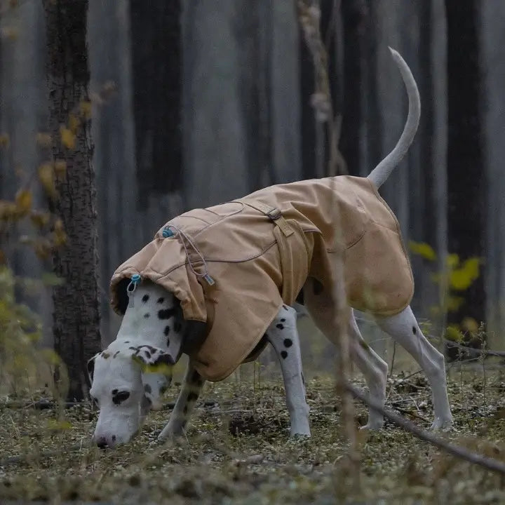 lightweight dog raincoat clay colour