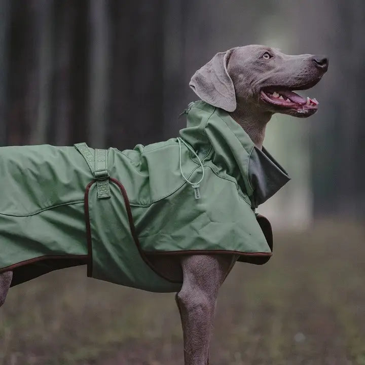 waterproof dog jacket olive rain coat dogs