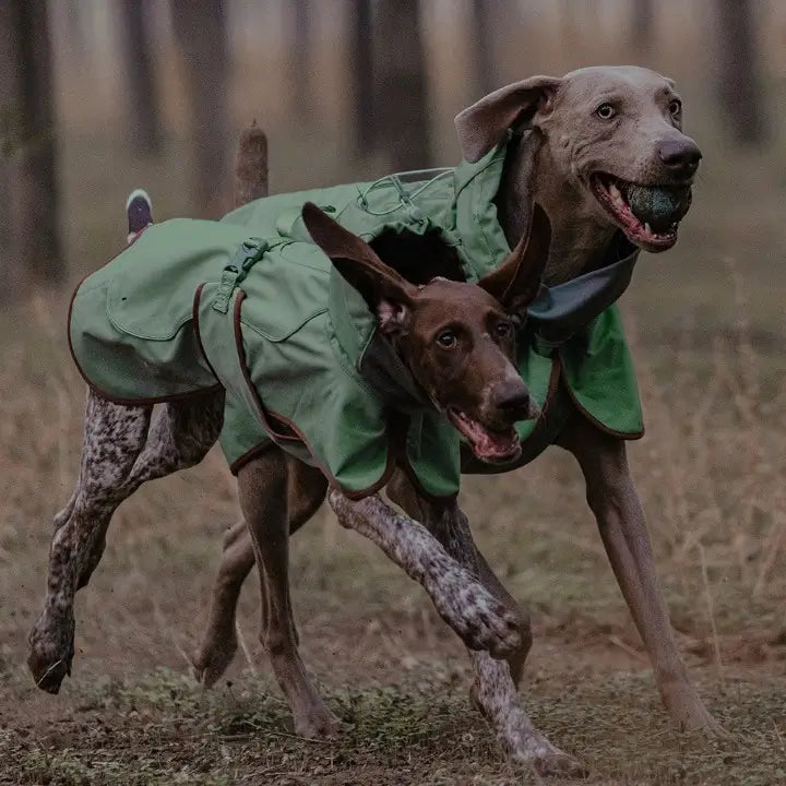 dog jacket olive rain protection coat