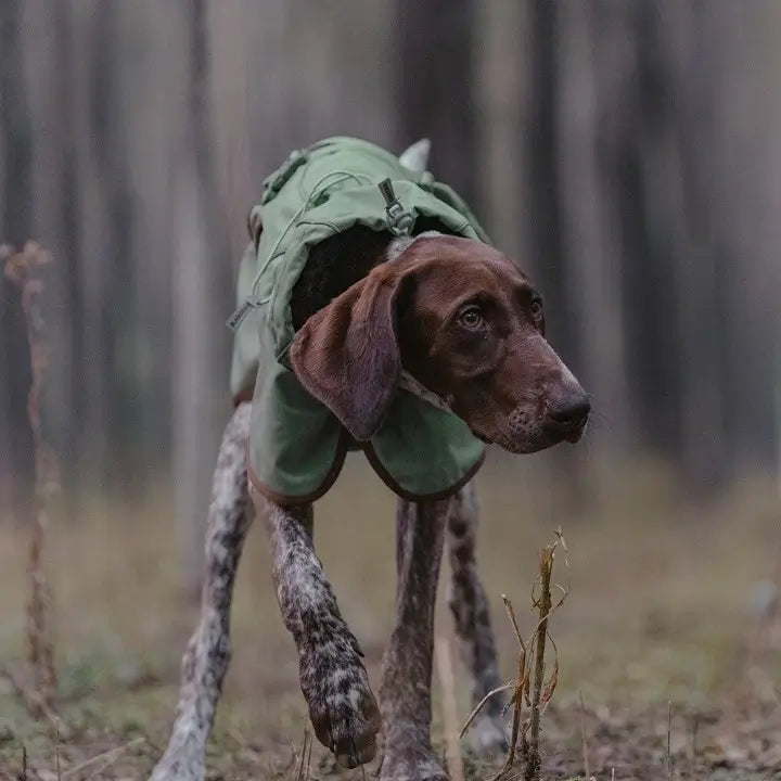 outdoor dog rain jacket olive waterproof