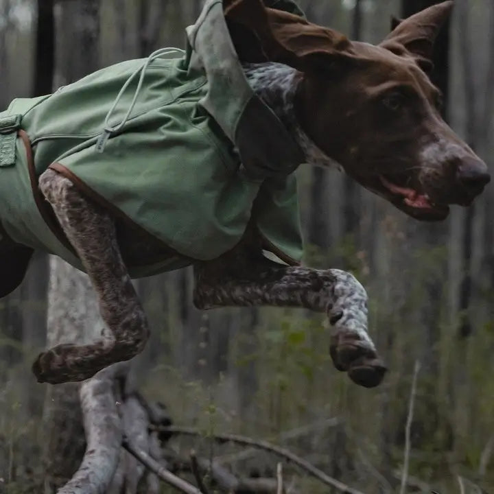 dog raincoat olive lightweight waterproof