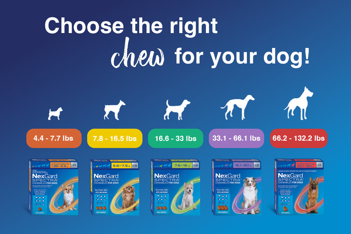 Nexgard for dogs no prescription