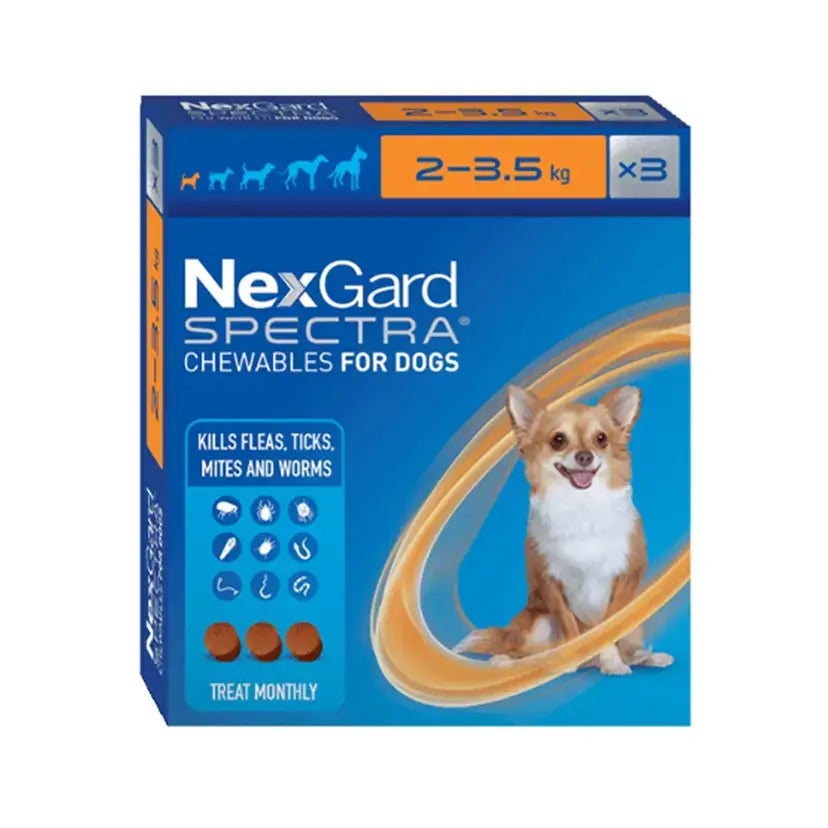 NexGard flea and tick chew for very small dogs