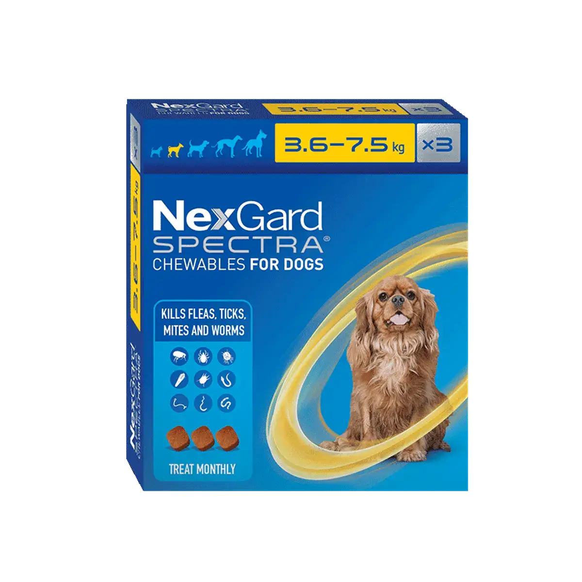 NexGard flea and tick chew for small dogs 