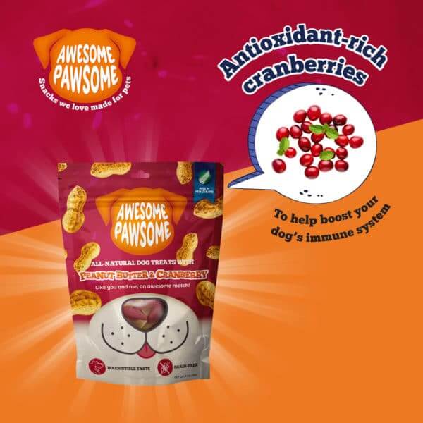 Peanut Butter & Cranberry Dog Treats – Tasty and Nutritious Snacks
