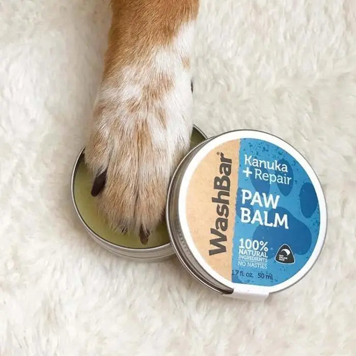 WashBar Paw Balm – Moisturizing and healing balm for dog paws