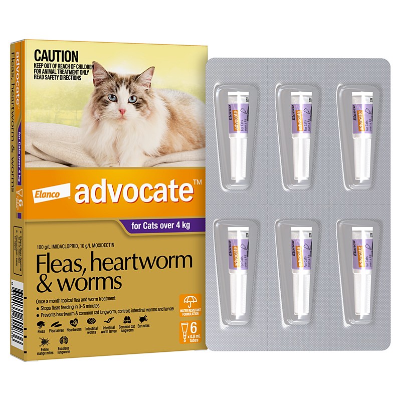 Advantage multi for cats no prescription needed