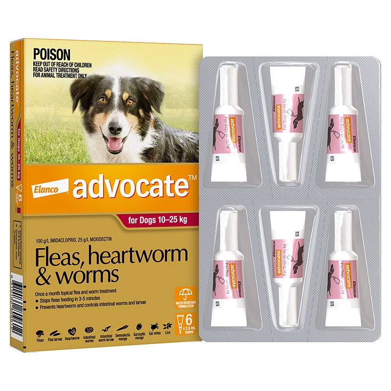 Advocate large no prescription needed