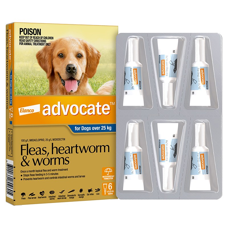 Advantage no prescription needed