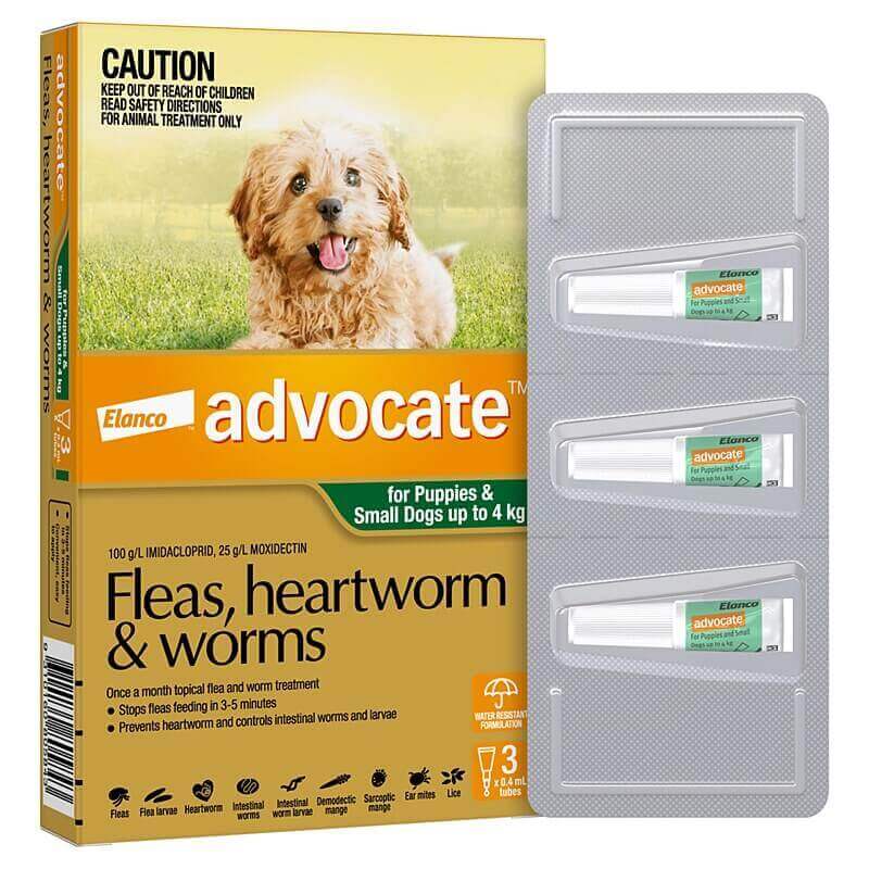 Advantage no prescription needed