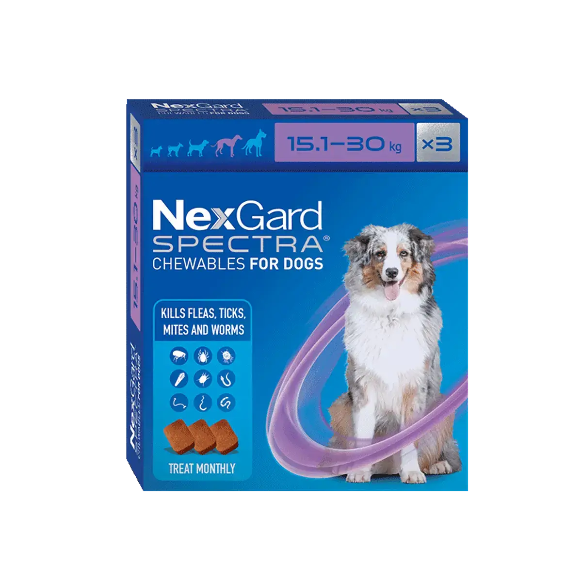 NexGard flea and tick chew for large dogs
