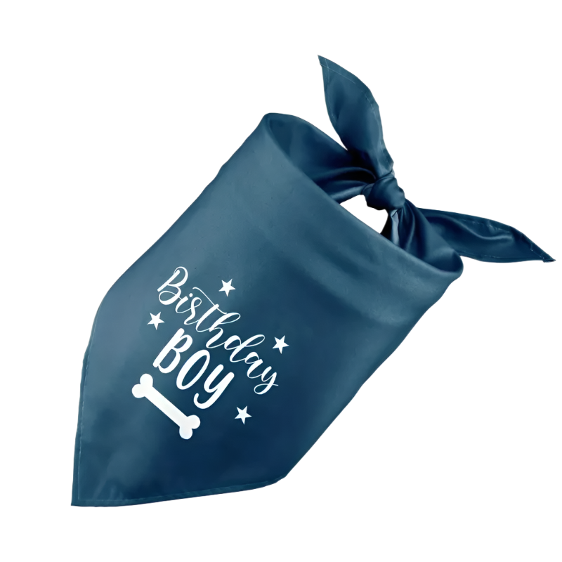 Dog cat birthday celebration bandana scarf
